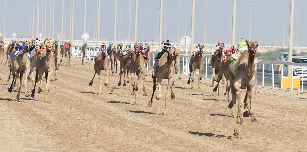 مشاركات ضخمة في تحديات الحقايق العامة بثاني أيام المحلي الثالث