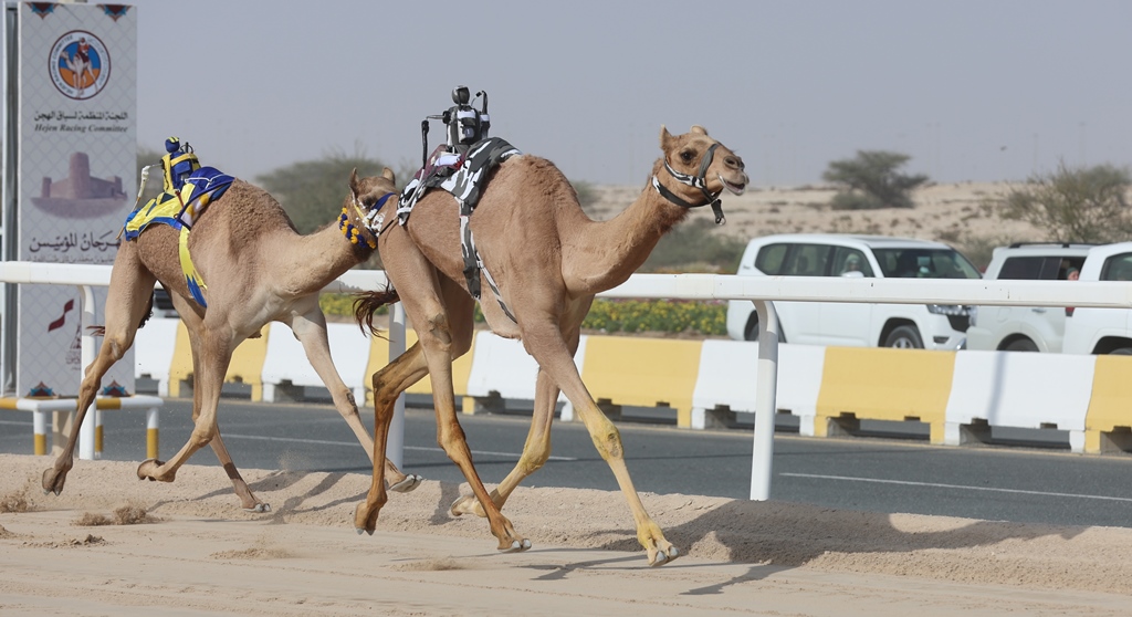 شعار الشيخ سعود بن علي بن عبدالعزيز آل ثاني يسيطر على ناموس الحقايق بكار