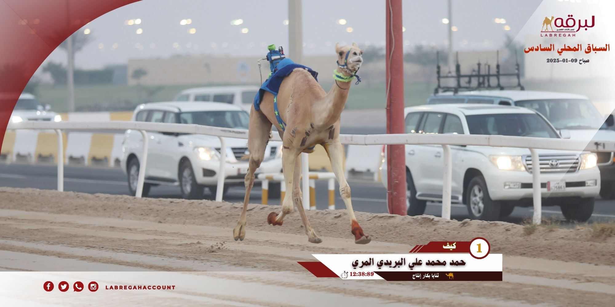 الإثارة والندية عنوان أشواط الثنايا والحيل والزمول الإنتاج