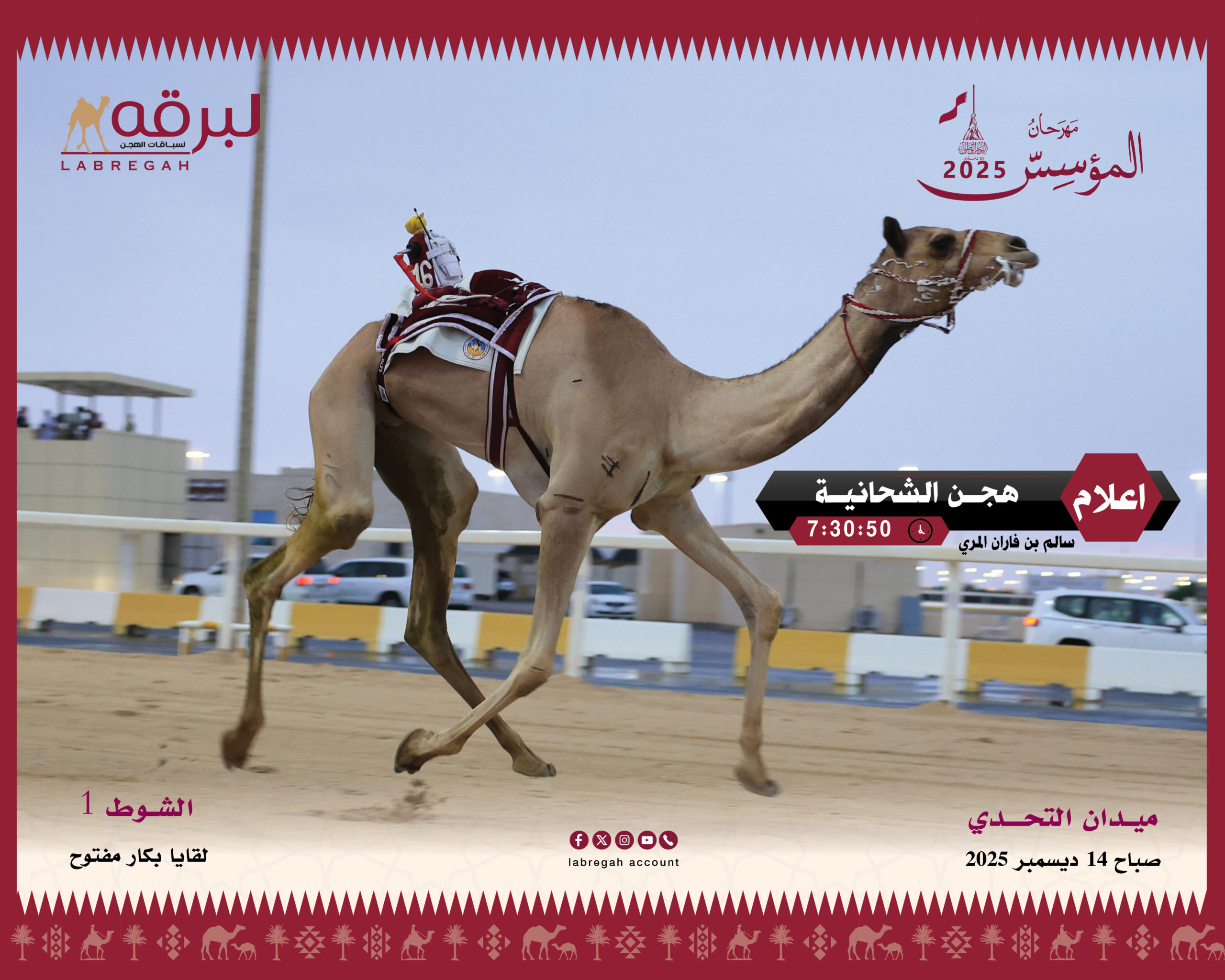 هجن الشحانية تستهل مشوارها بناموس اللقايا بكار.. وأم الزبار تتفوق في القعدان